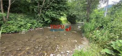 Teren ideal pentru cabană sau pensiune în Poiana Galdei - foto 9