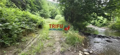 Teren ideal pentru cabană sau pensiune în Poiana Galdei - foto 10