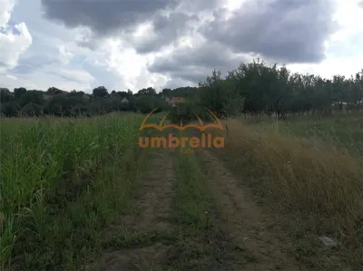 De vanzare teren 1.800m²/36€ m² intrav. in Deus- Chinteni ! - foto 5