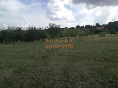 De vanzare teren 1.800m²/36€ m² intrav. in Deus- Chinteni ! - foto 6