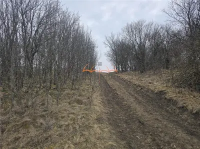 2 Terenuri de vanzare in Popesti Baciu 500m²/40€ m². - Popesti