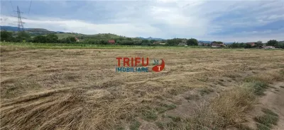 Teren de vanzare in Sard cu suprafata de 1374 mp - foto 2