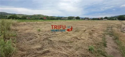Teren de vanzare in Sard cu suprafata de 1374 mp - foto 4