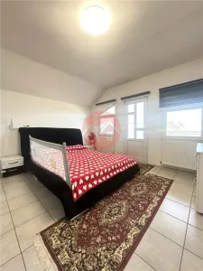 Casa cu Potential Multiplu, Pretabila Pentru Doua Familii sau Business, Chiar la Strada Principala - foto 5