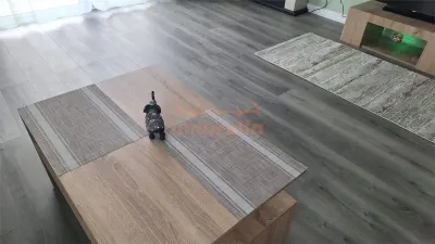 Casa de vanzare in Corusu, finisata, semimobilata 255.000€ - foto 14