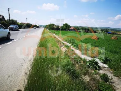 De vanzare in FUNDATURA, 14.727m²/25€ m² - foto 4