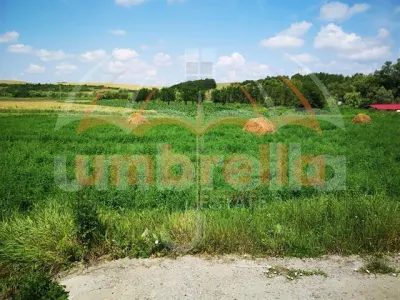 De vanzare in FUNDATURA, 14.727m²/25€ m² - foto 5
