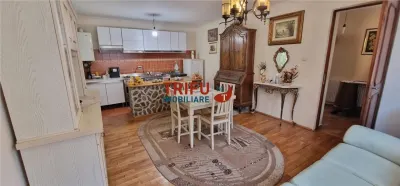 Casă individuală 4 camere, zona Cetate, teren 720 mp, Alba Iulia - foto 21