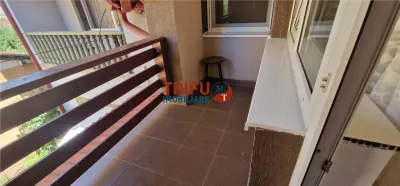 Apartament 2 camere de inchiriat zona Alba Micesti - foto 11