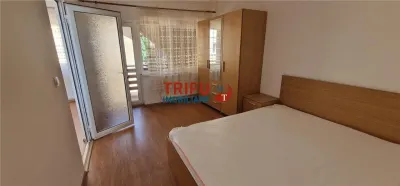 Apartament 2 camere de inchiriat zona Alba Micesti - foto 4