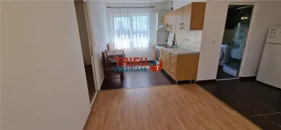 Apartament 2 camere de inchiriat zona Alba Micesti - foto 6