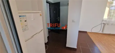 Apartament 2 camere de inchiriat zona Alba Micesti - foto 8