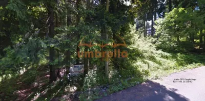 Teren de vanzare Vladet - Trei Brazi, in Predeal 1000m²/80€ m² intravilan - foto 1