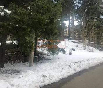 Teren de vanzare Vladet - Trei Brazi, in Predeal 1000m²/80€ m² intravilan - foto 2