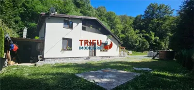 Cabana de vânzare în Intregalde – 5 camere, 1.200 mp teren, ciubăr și piscină - Intregalde