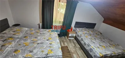Cabana de vânzare în Intregalde – 5 camere, 1.200 mp teren, ciubăr și piscină - foto 13