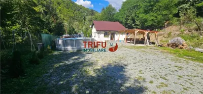 Cabana de vânzare în Intregalde – 5 camere, 1.200 mp teren, ciubăr și piscină - foto 3