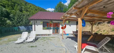 Cabana de vânzare în Intregalde – 5 camere, 1.200 mp teren, ciubăr și piscină - foto 4