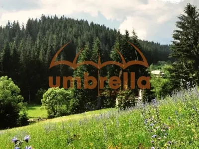 TEREN DE VANZARE 34.201m²/20€ m² IN VARSAG HARGHITA - foto 2