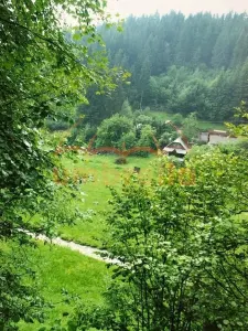 TEREN DE VANZARE 34.201m²/20€ m² IN VARSAG HARGHITA - foto 10