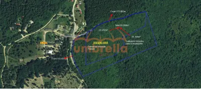 Teren de vanzare Ciurila, extravilan  50.266m² vis-a-vis  Moara de vant - foto 1