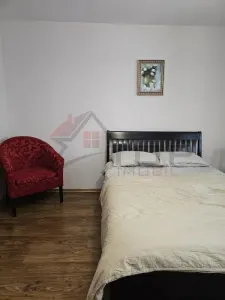 Apartament cu 1 camera decomandat, bloc din 1991 - Pacurari - foto 2
