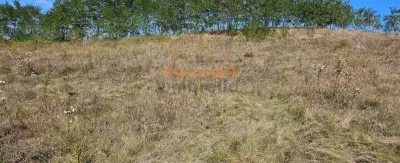 Teren agricol de vanzare in INUCU-Aghires, 1550m² Extravilan - foto 4