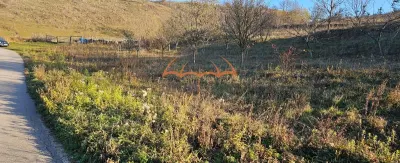 Teren agricol de vanzare in INUCU-Aghires, 1000m²/20€ m² Extravilan - foto 6