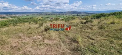 Teren extravilan de 2500 mp de vanzare  in Paclisa priveliste deosebita - foto 4