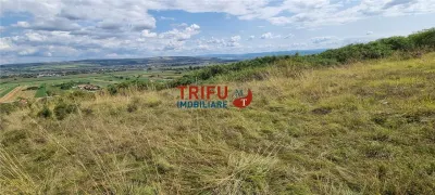 Teren extravilan de 2500 mp de vanzare  in Paclisa priveliste deosebita - foto 5