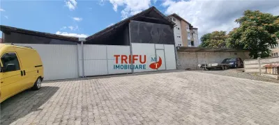 Hala de inchiriat zona Cetate pretabia ca si spatiu de depozitare cu intrare separata si curte - foto 3