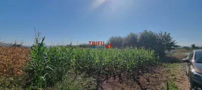 Teren Alba Micesti pretabil pentru construire bloc - foto 5