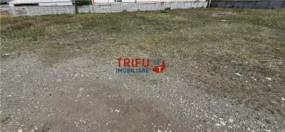 Hala Productie 1208mp cu Birouri si 10000 mp teren - foto 6