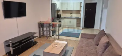 Apartament 2 Camere - Parter cu Gradina - Tatarasi - foto 4