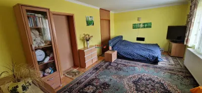 Casa cu 912mp teren 5 camere strada asfaltata - foto 8