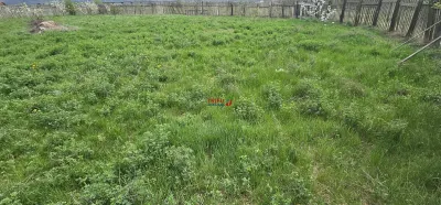 Teren de vanzare cu utilitati, 1316 mp - foto 1