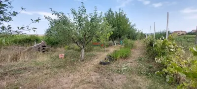 Casa cu piscina acoperita pentru inot zona Alba-Micesti - foto 4