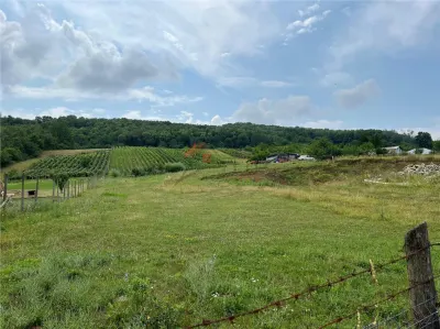 Teren Tomesti 3750MP - foto 6