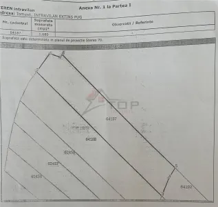 Teren Tomesti 3750MP - foto 7