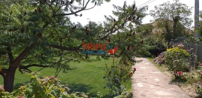 Casă cu 4 camere și 1400mp teren în Micești - foto 3