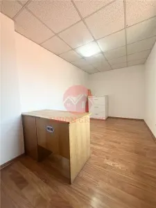 Vila Impresionanta, 220 mp Utili, zona Casa de Cultura - foto 24
