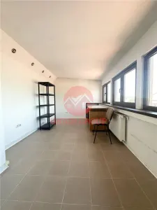 Vila Impresionanta, 220 mp Utili, zona Casa de Cultura - foto 8