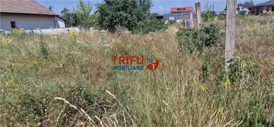 Treren de vanzare 438mp in cartierul Orizont - foto 3