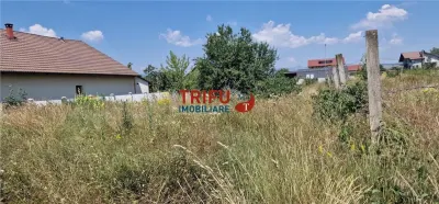 Treren de vanzare 438mp in cartierul Orizont - foto 4
