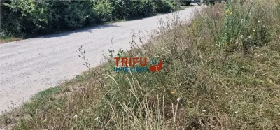 Treren de vanzare 438mp in cartierul Orizont - foto 5