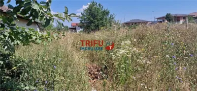 Treren de vanzare 438mp in cartierul Orizont - foto 6