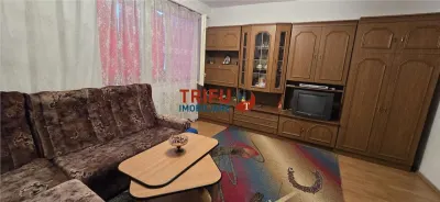 Apartament 2 camere Ampoi 1 mobilat utilat - foto 4