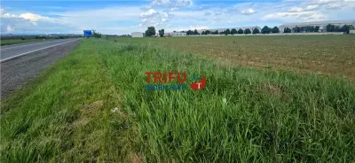 Teren intravilan industrial cu PUZ aprobat - foto 1