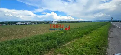 Teren intravilan industrial cu PUZ aprobat - foto 2