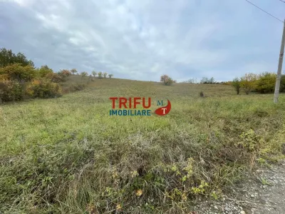 Teren intravilan cu dubla deschidere zona Cetate - foto 2